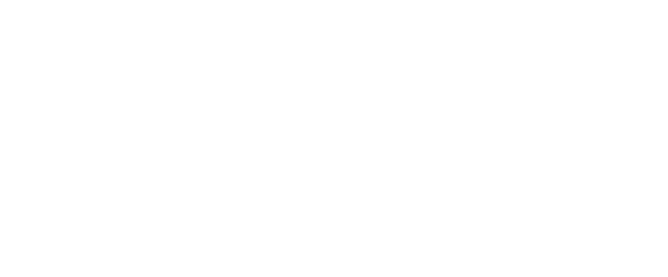 logo tnt